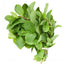 Menthe